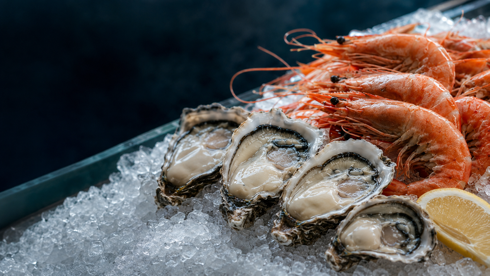 Fresh oysters and cooked king prawns arranged on ice